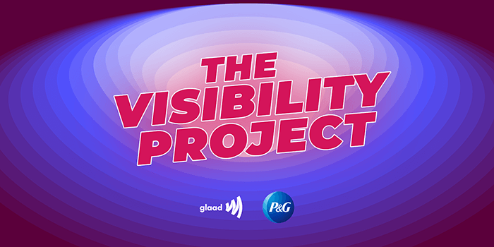 The Visibility Project logo