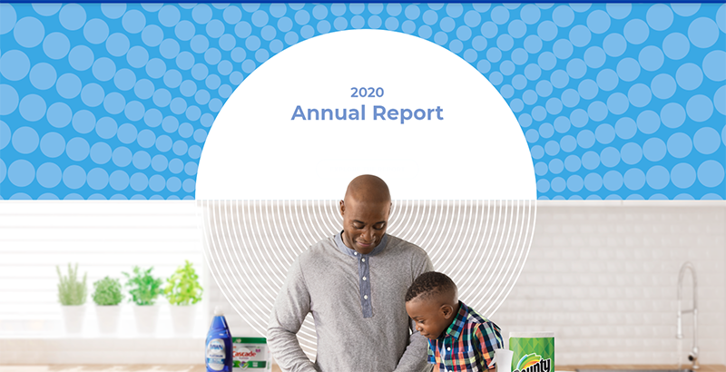 2020 Annual Report visual